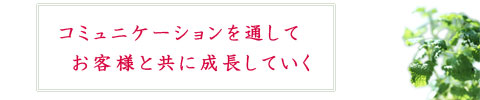 コミュニケーションを通してお客様と共に成長していく